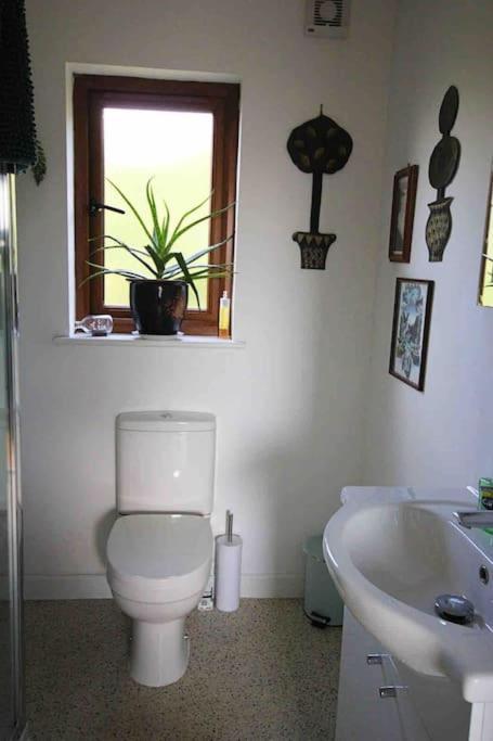 Spacious Cabin On Isolated Farm With Sea View Bude Esterno foto